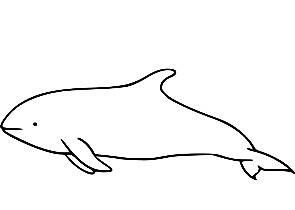 Desenho de Golfinhos para colorir