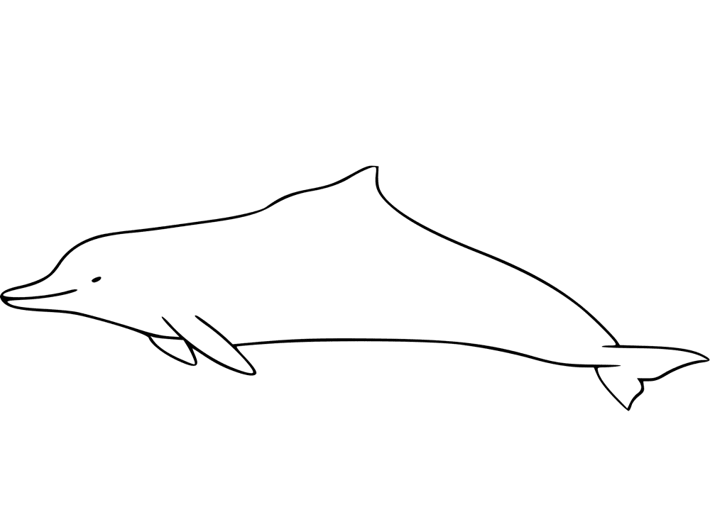 Desenho de Golfinhos para colorir