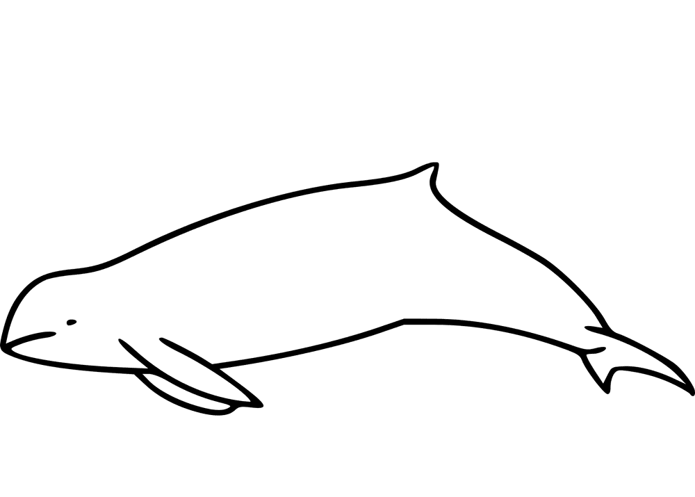 Desenho de Golfinhos para colorir