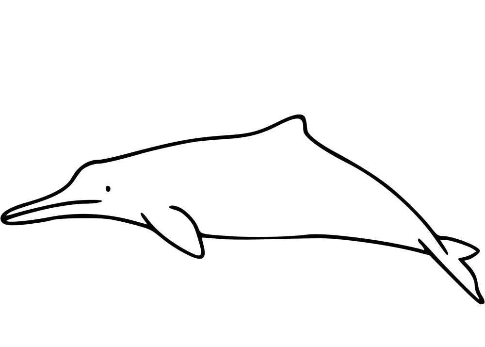 Desenho de Golfinhos para colorir