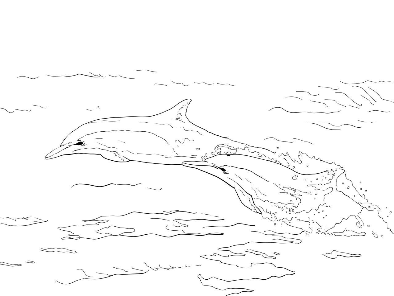 Desenho de Golfinhos para colorir