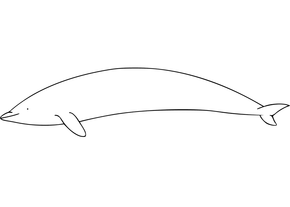 Desenho de Golfinhos para colorir
