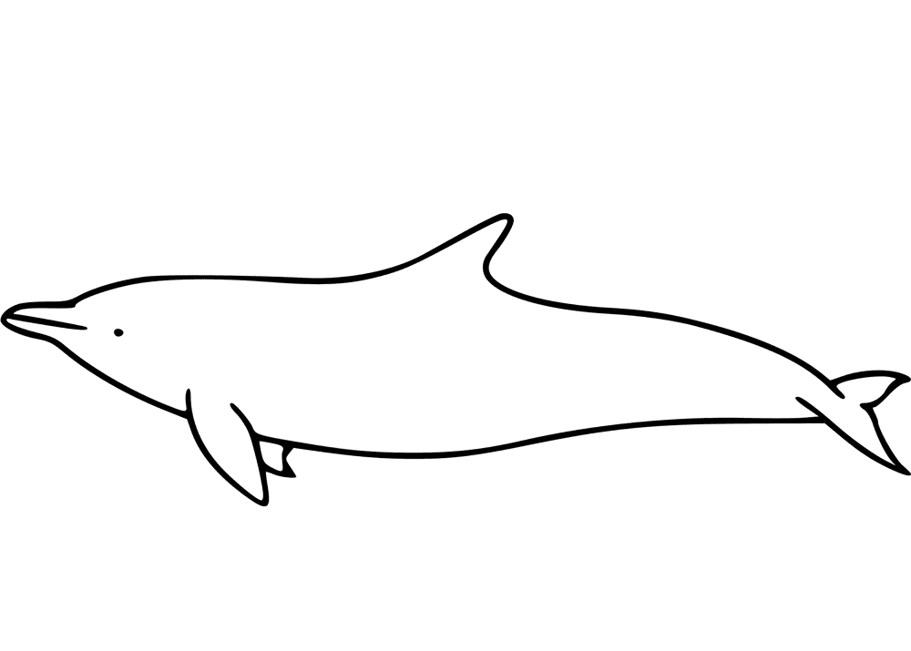 Desenho de Golfinhos para colorir