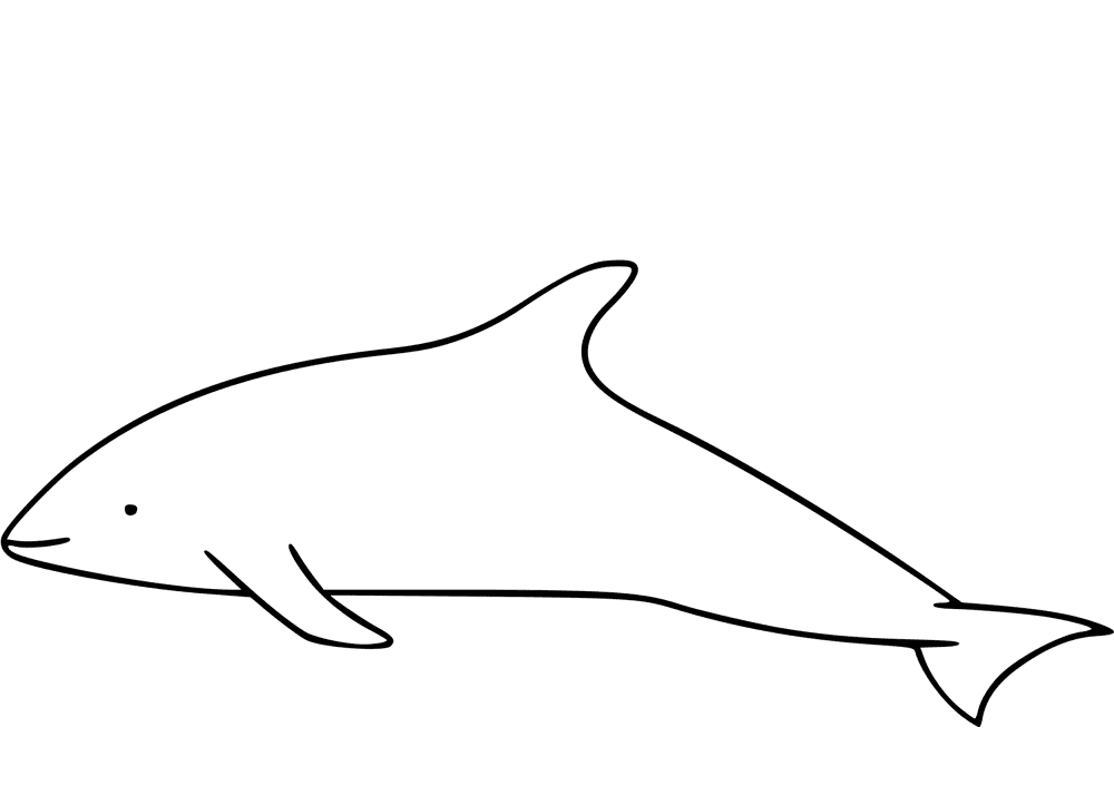 Desenho de Golfinhos para colorir