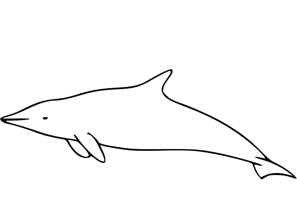 Desenho de Golfinhos para colorir