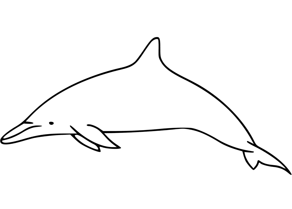 Desenho de Golfinhos para colorir