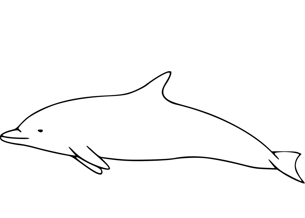 Desenho de Golfinhos para colorir