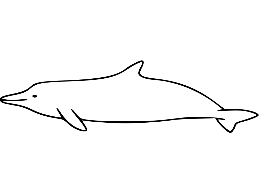 Desenho de Golfinhos para colorir