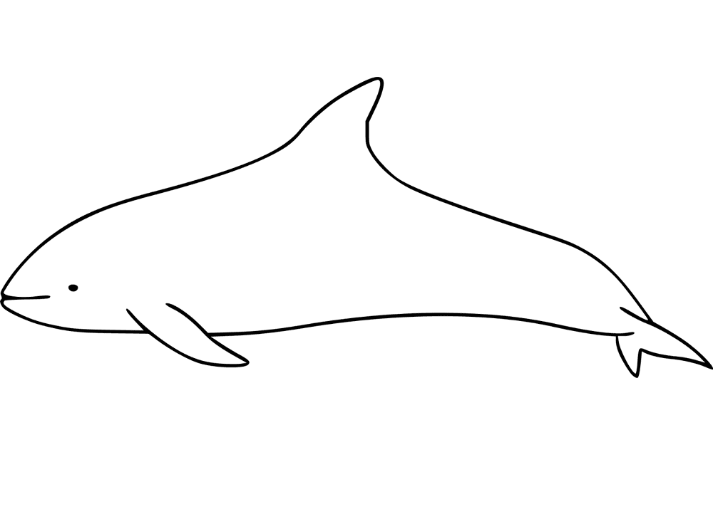 Desenho de Golfinhos para colorir