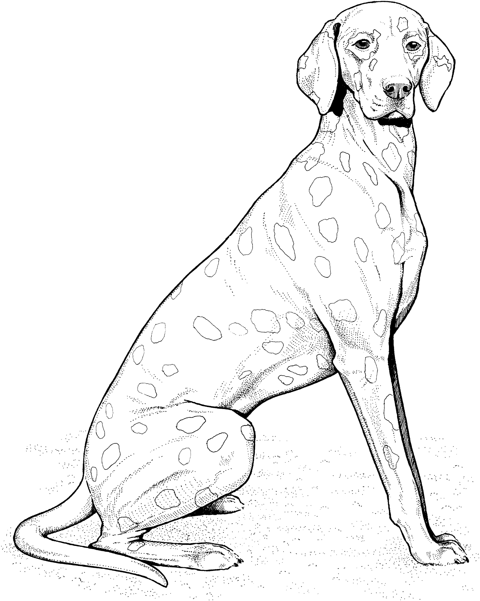 Desenho de Gracioso para colorir e imprimir: número 5