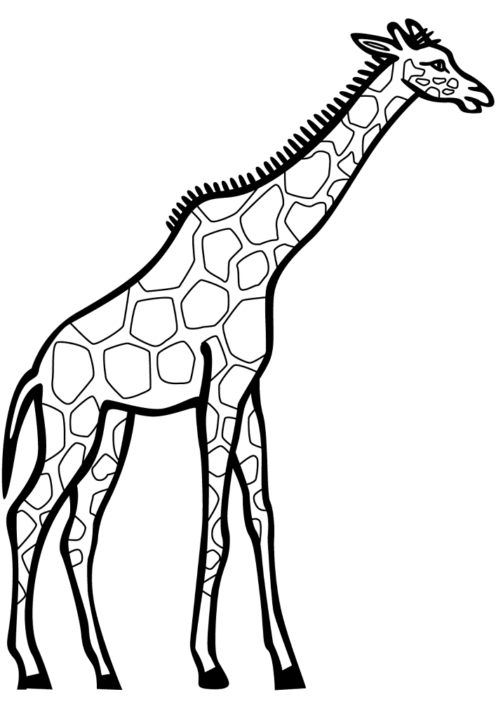 Desenho de Gracioso para colorir e imprimir: número 6