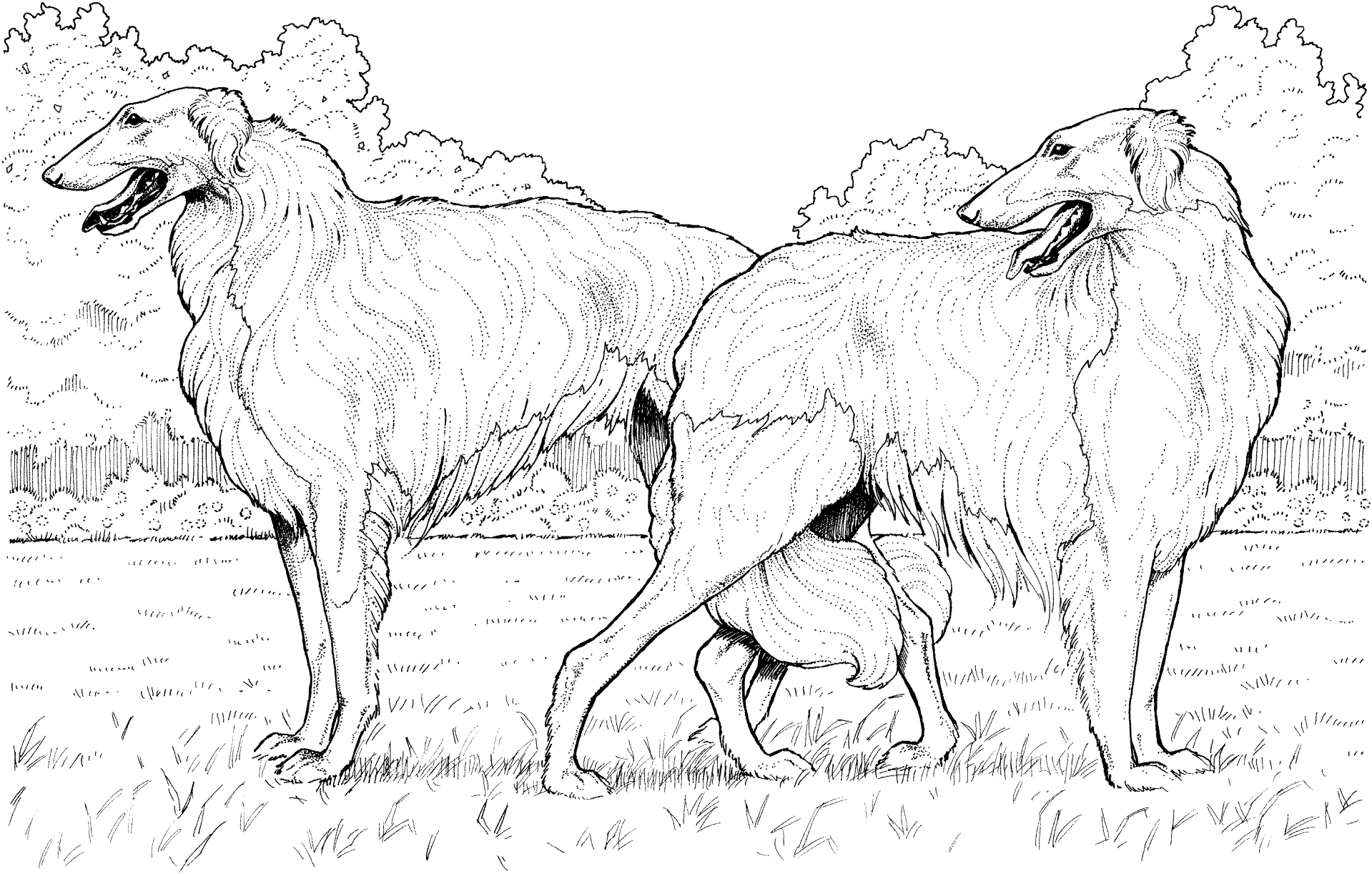 Desenho de Gracioso para colorir e imprimir: número 9
