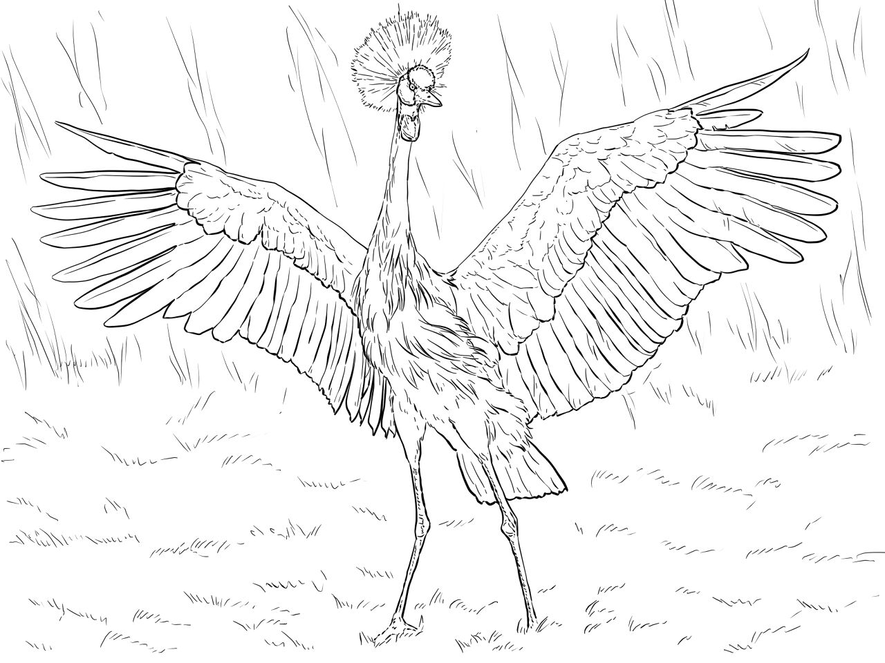 Desenho de Gracioso para colorir e imprimir: número 13
