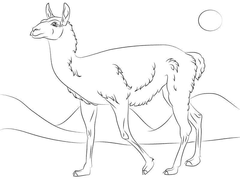 Desenho de Gracioso para colorir e imprimir: número 28