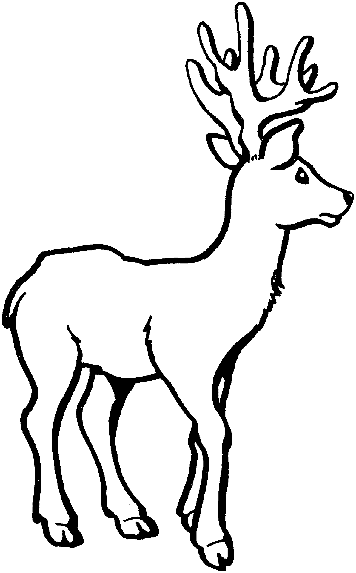 Desenho de Gracioso para colorir e imprimir: número 30