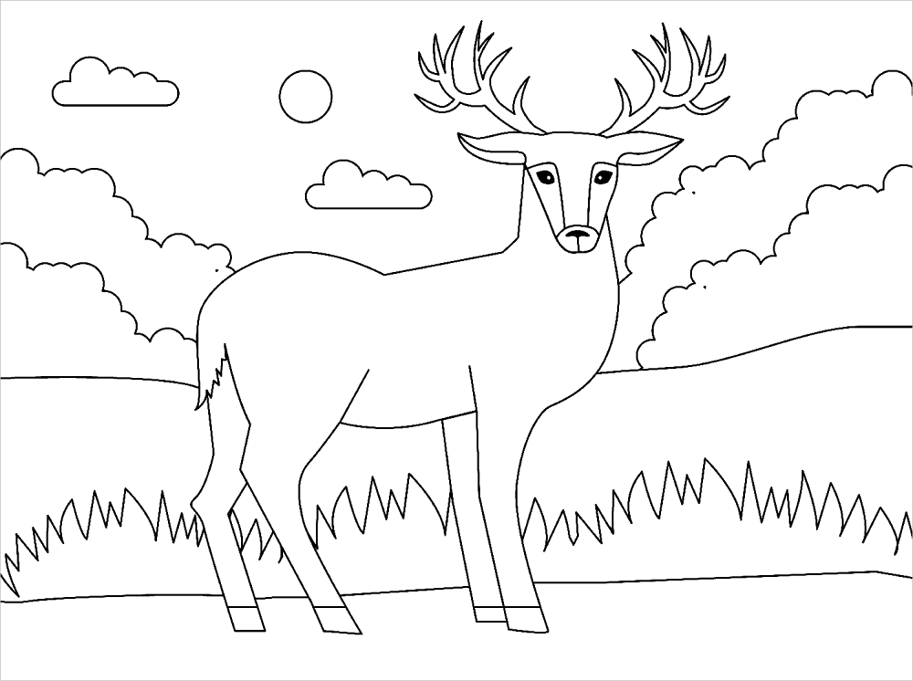 Desenho de Gracioso para colorir e imprimir: número 31