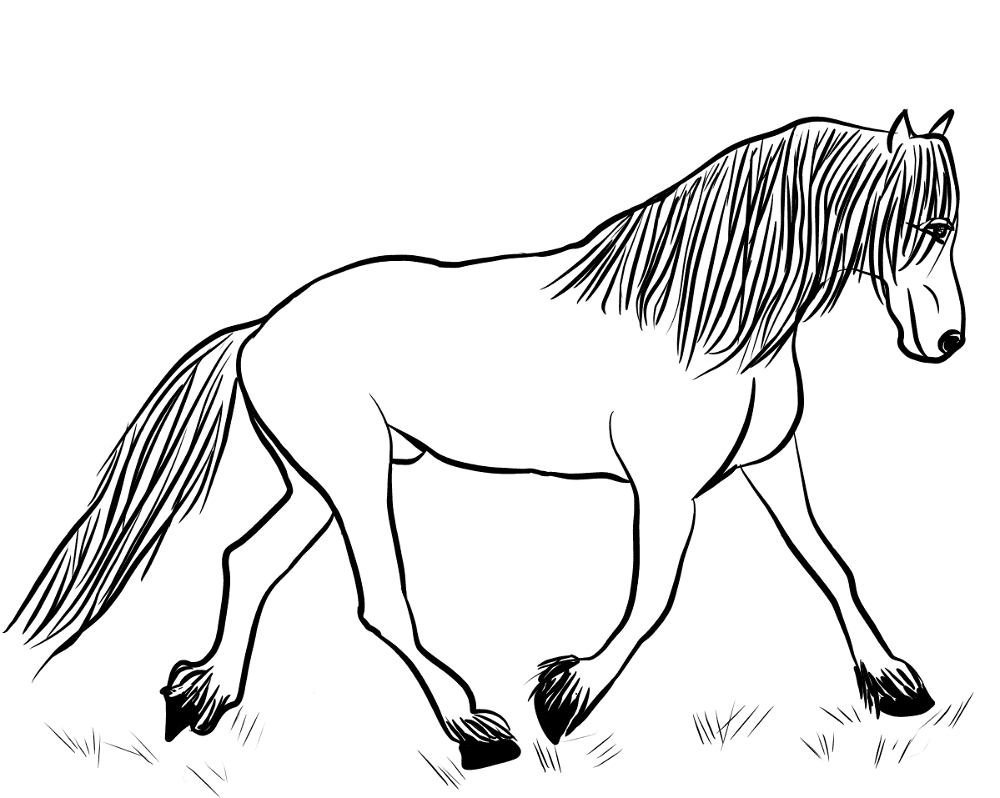 Desenho de Gracioso para colorir e imprimir: número 35