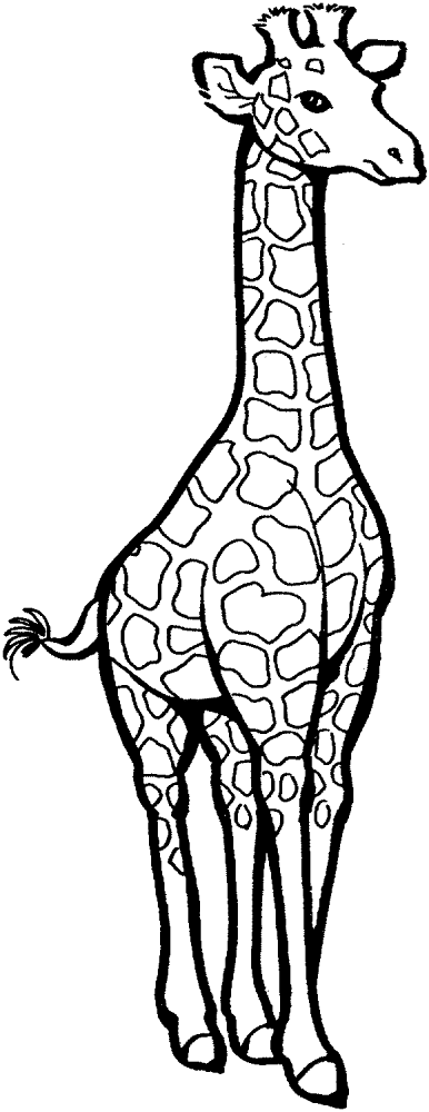 Desenho de Gracioso para colorir e imprimir: número 38