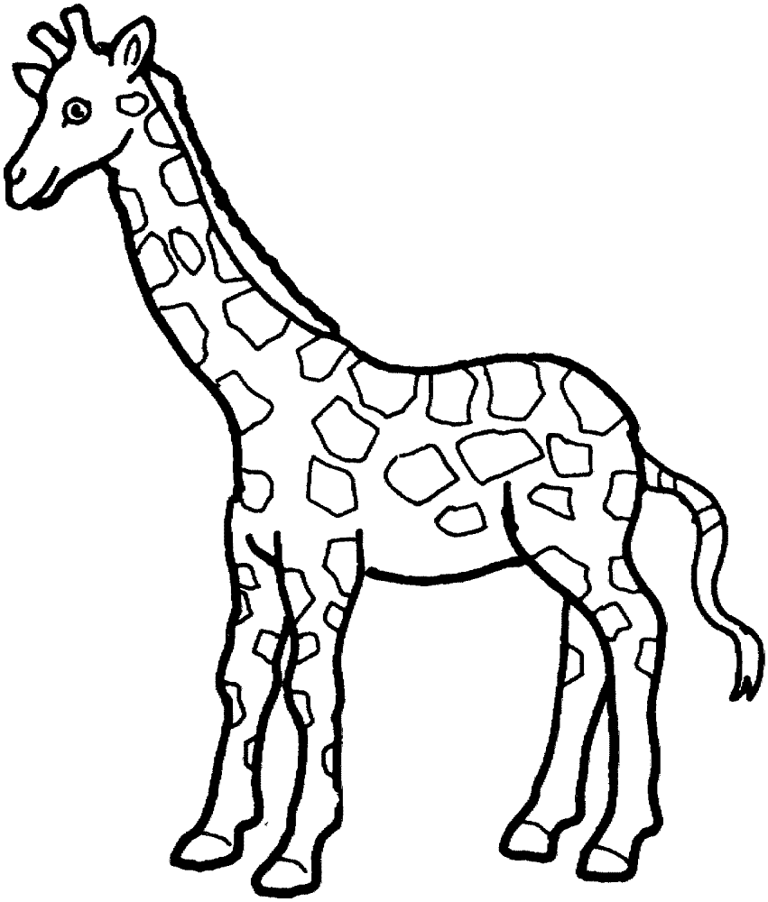 Desenho de Gracioso para colorir e imprimir: número 39