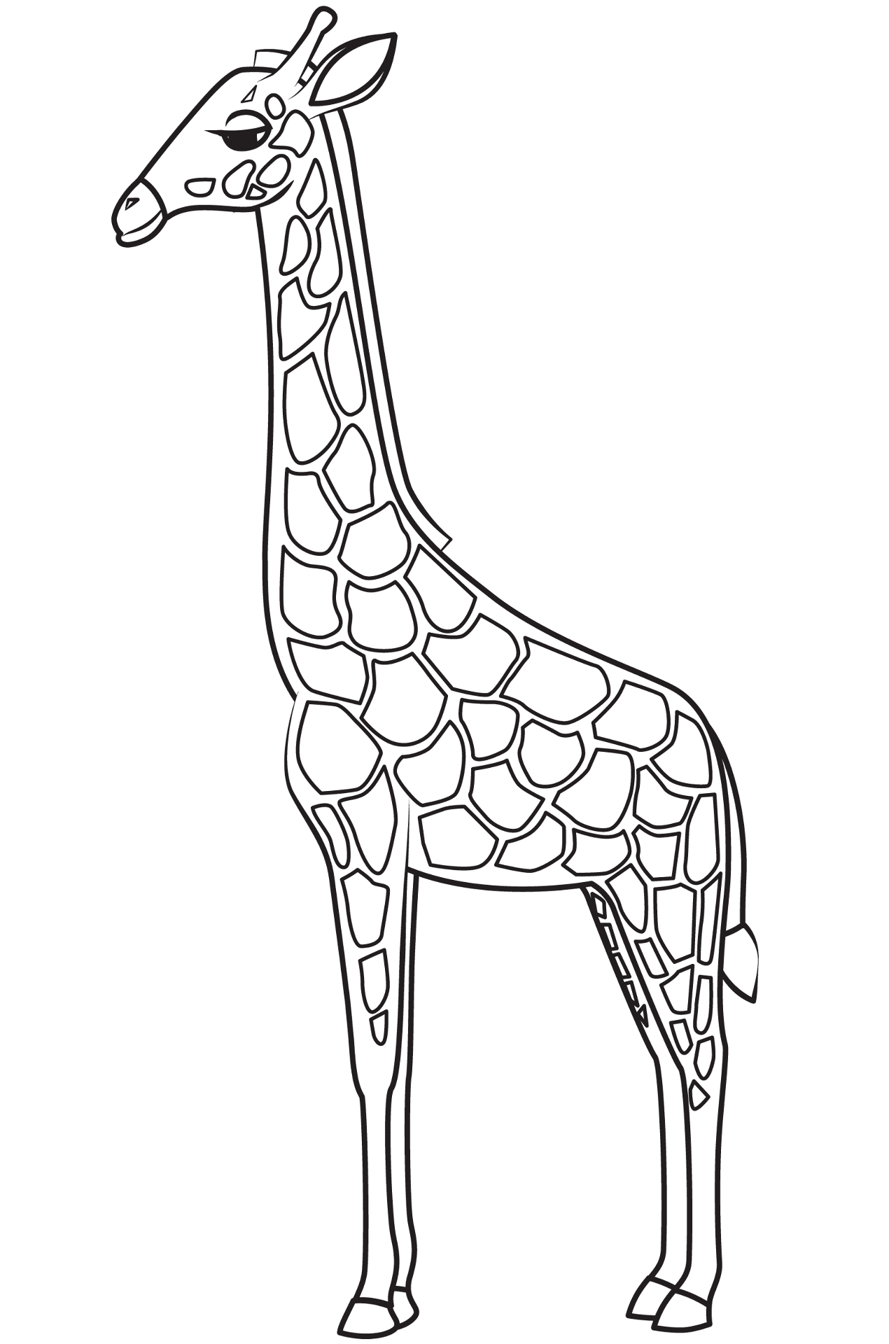 Desenho de Gracioso para colorir e imprimir: número 40