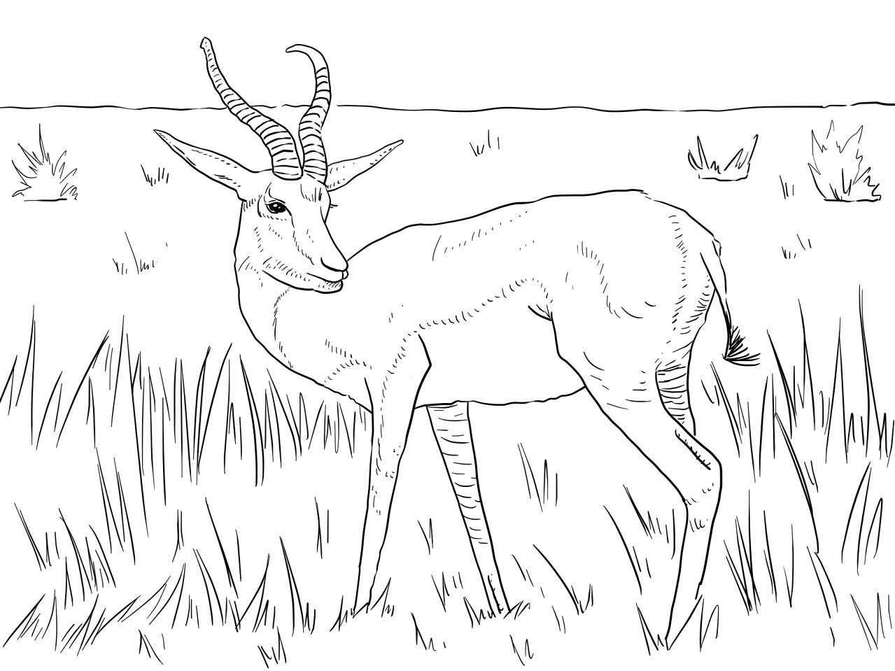 Desenho de Gracioso para colorir