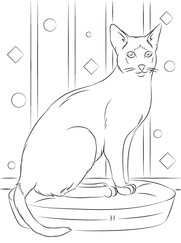 Desenho de Gracioso para colorir