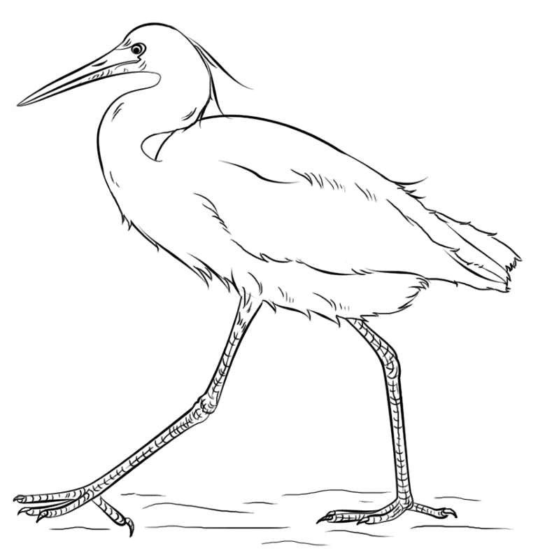 Desenho de Gracioso para colorir