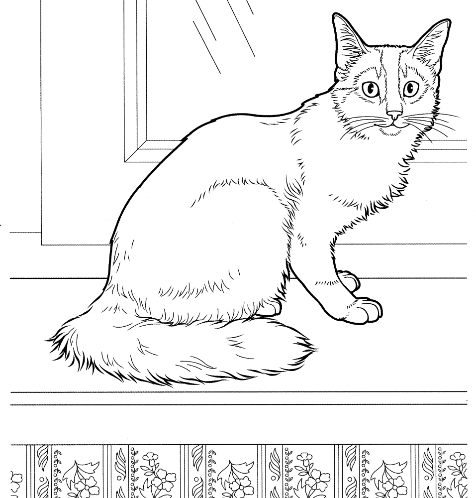 Desenho de Gracioso para colorir