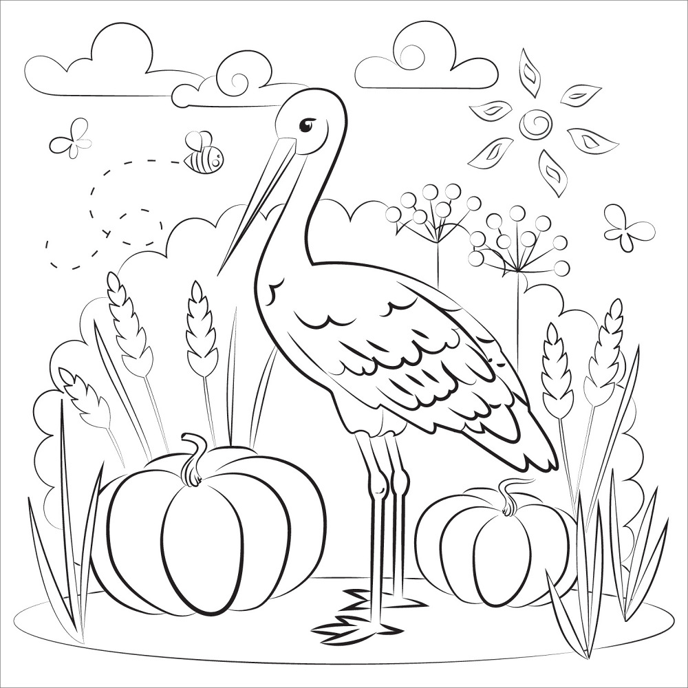 Desenho de Gracioso para colorir
