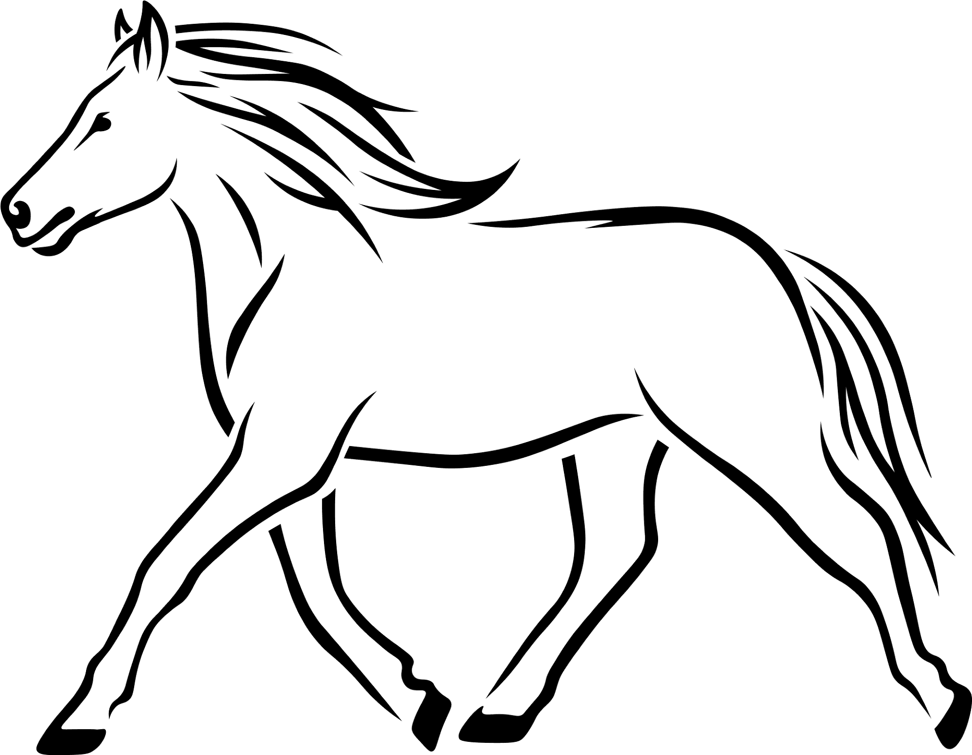 Desenho de Gracioso para colorir