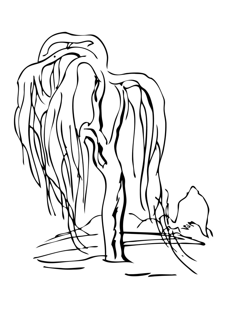 Desenho de Gracioso para colorir