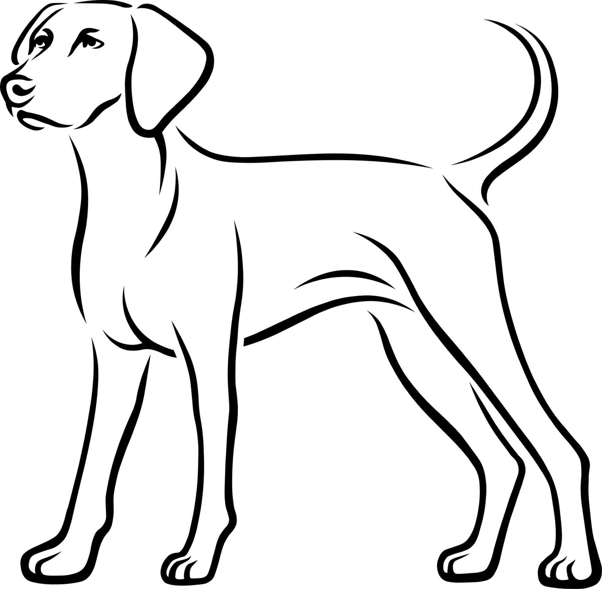 Desenho de Gracioso para colorir