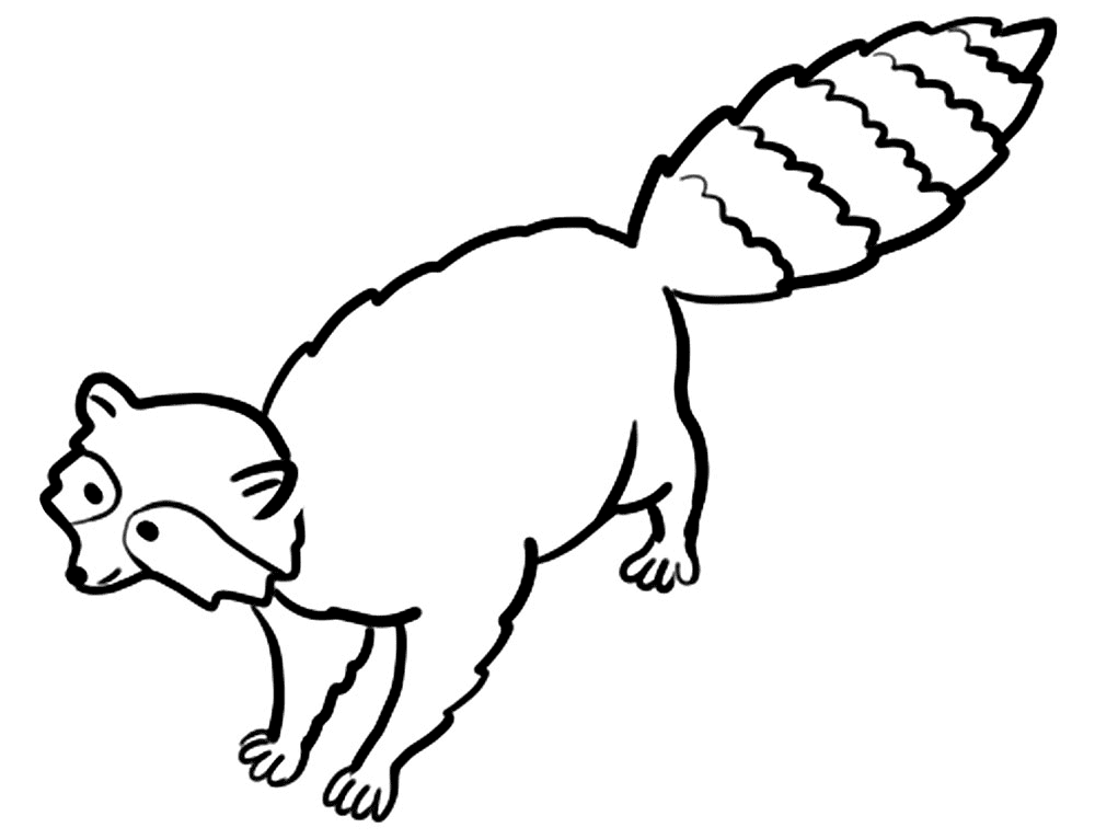 Desenho de Guaxinins para colorir e imprimir: número 1