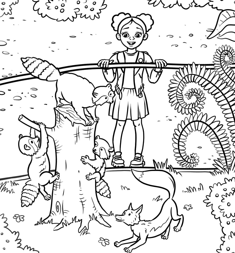 Desenho de Guaxinins para colorir e imprimir: número 2