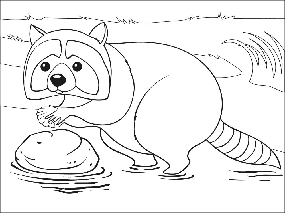 Desenho de Guaxinins para colorir e imprimir: número 3