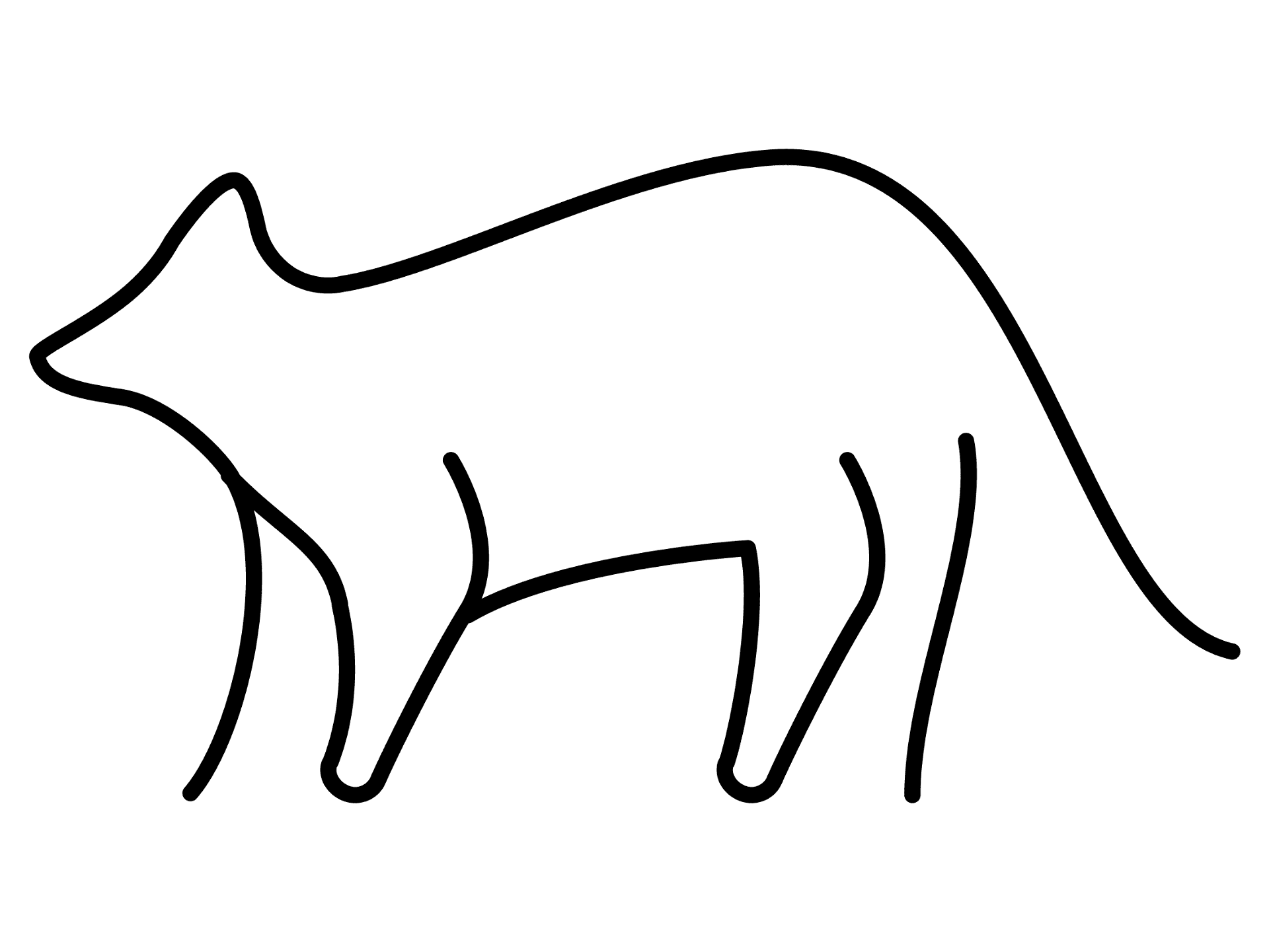 Desenho de Guaxinins para colorir e imprimir: número 18