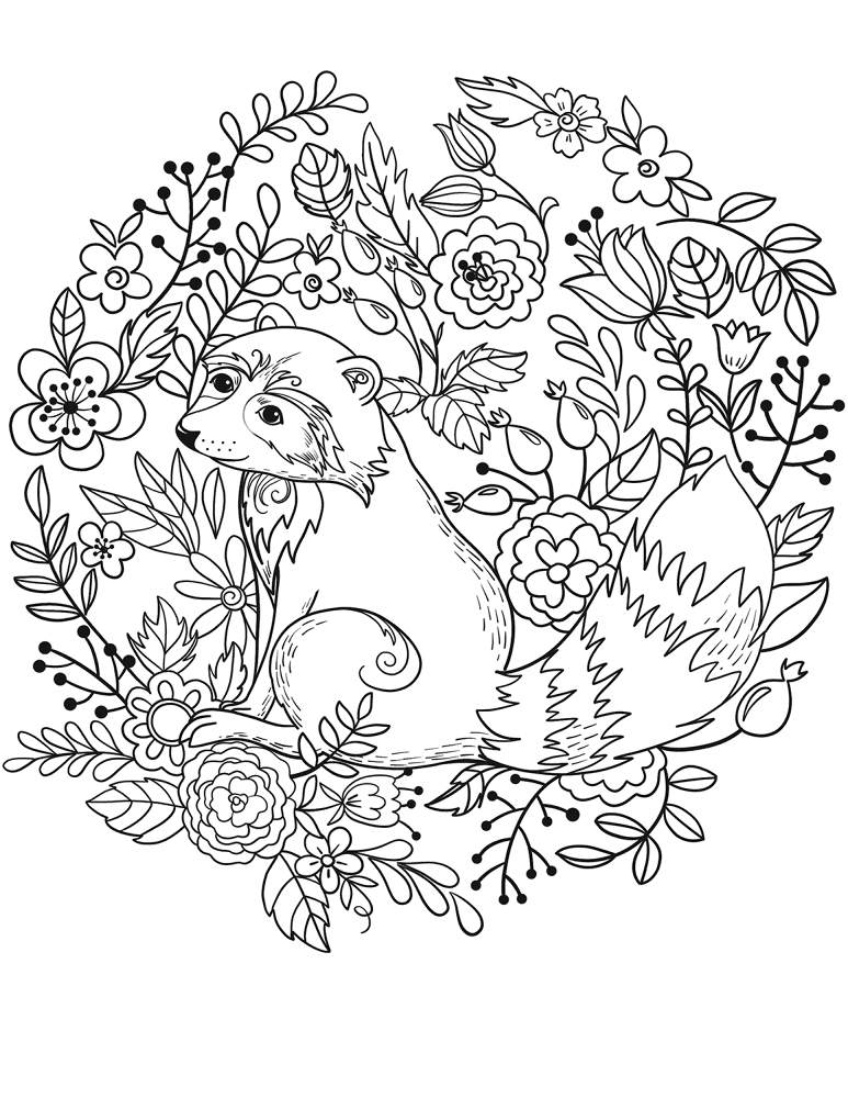 Desenho de Guaxinins para colorir e imprimir: número 20