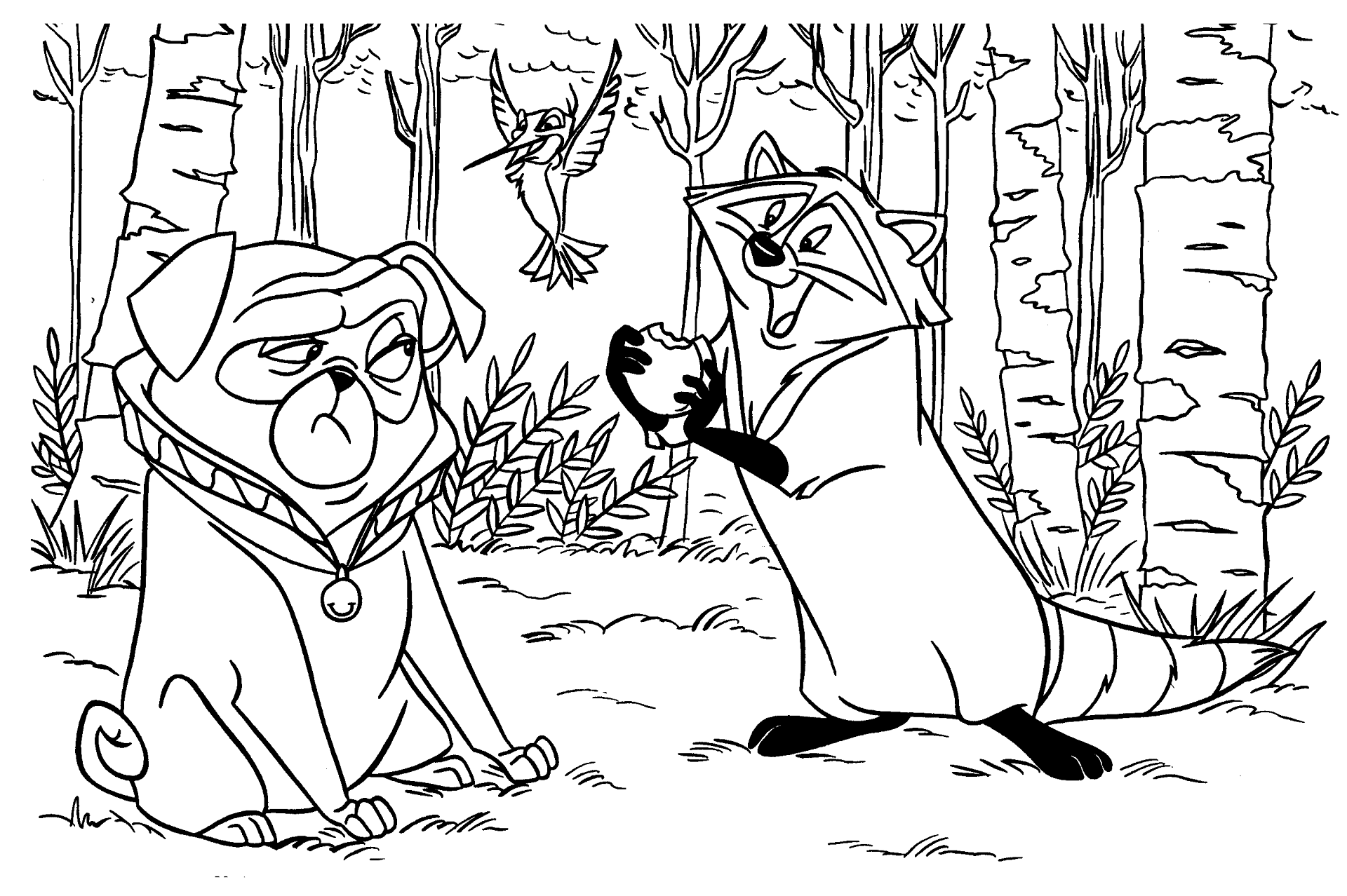 Desenho de Guaxinins para colorir e imprimir: número 26