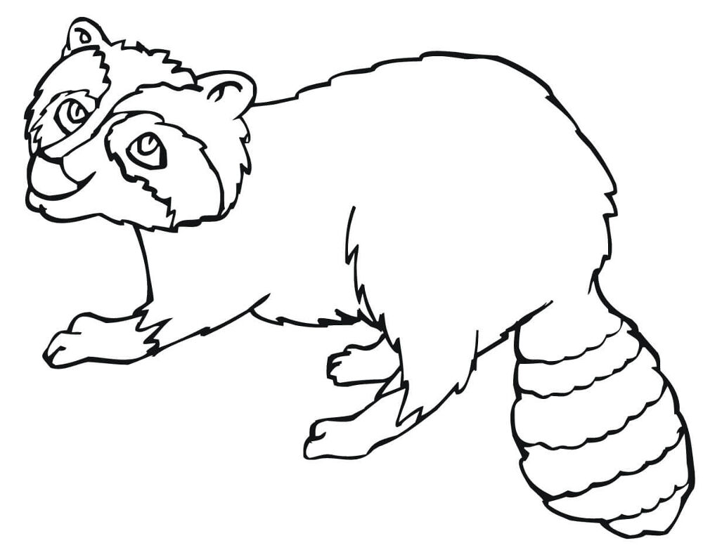 Desenho de Guaxinins para colorir e imprimir: número 36