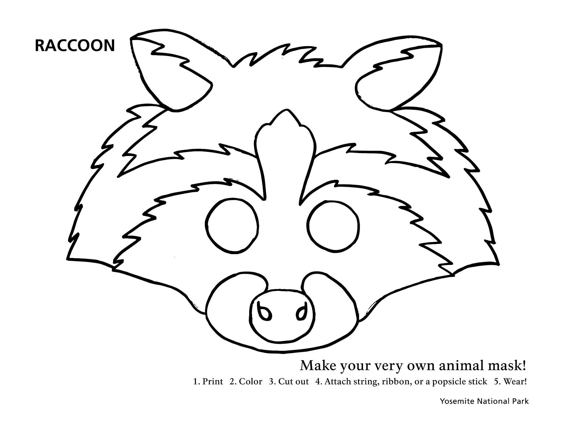 Desenho de Guaxinins para colorir