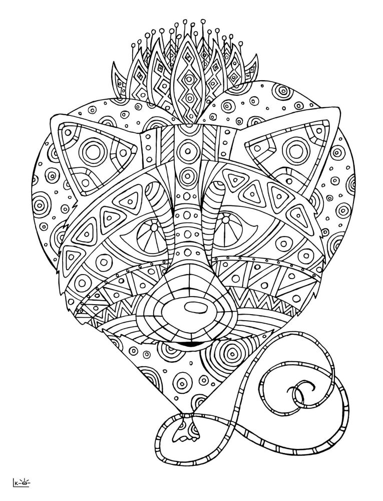 Desenho de Guaxinins para colorir