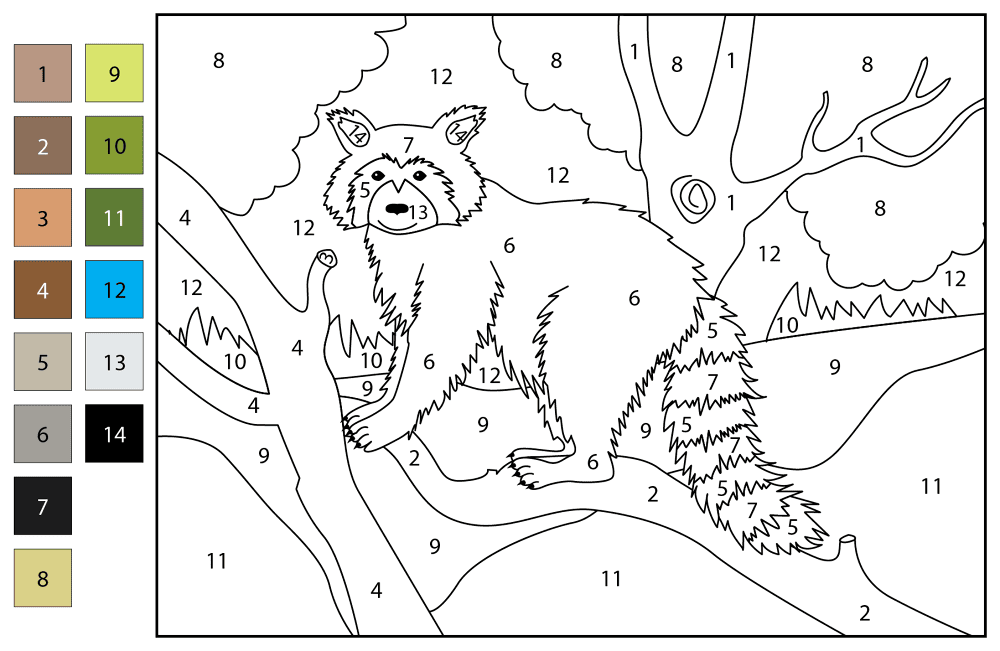 Desenho de Guaxinins para colorir