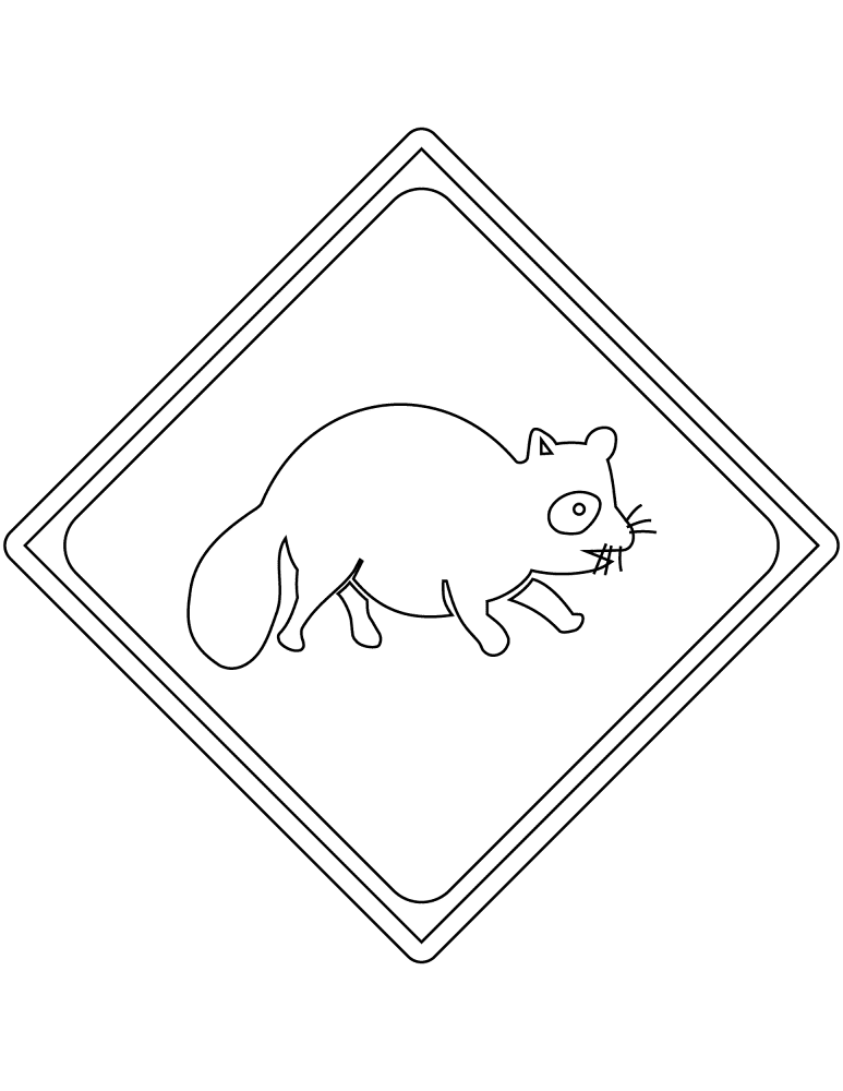 Desenho de Guaxinins para colorir