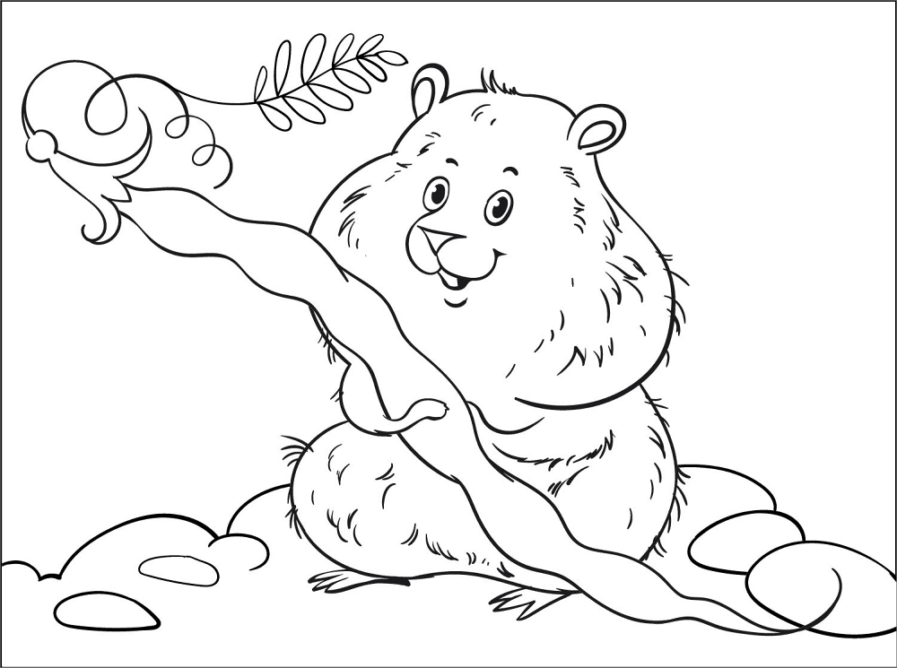 Desenho de Hamsters para colorir e imprimir: número 2