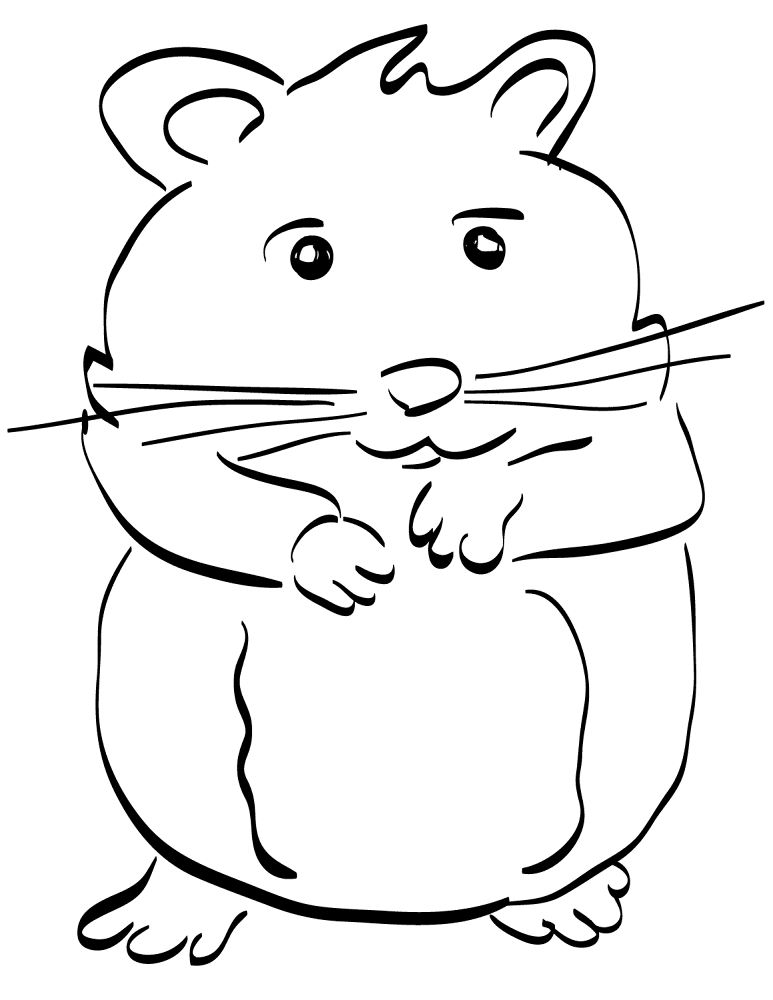 Desenho de Hamsters para colorir e imprimir: número 16