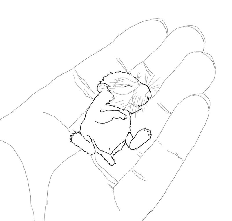 Desenho de Hamsters para colorir e imprimir: número 17