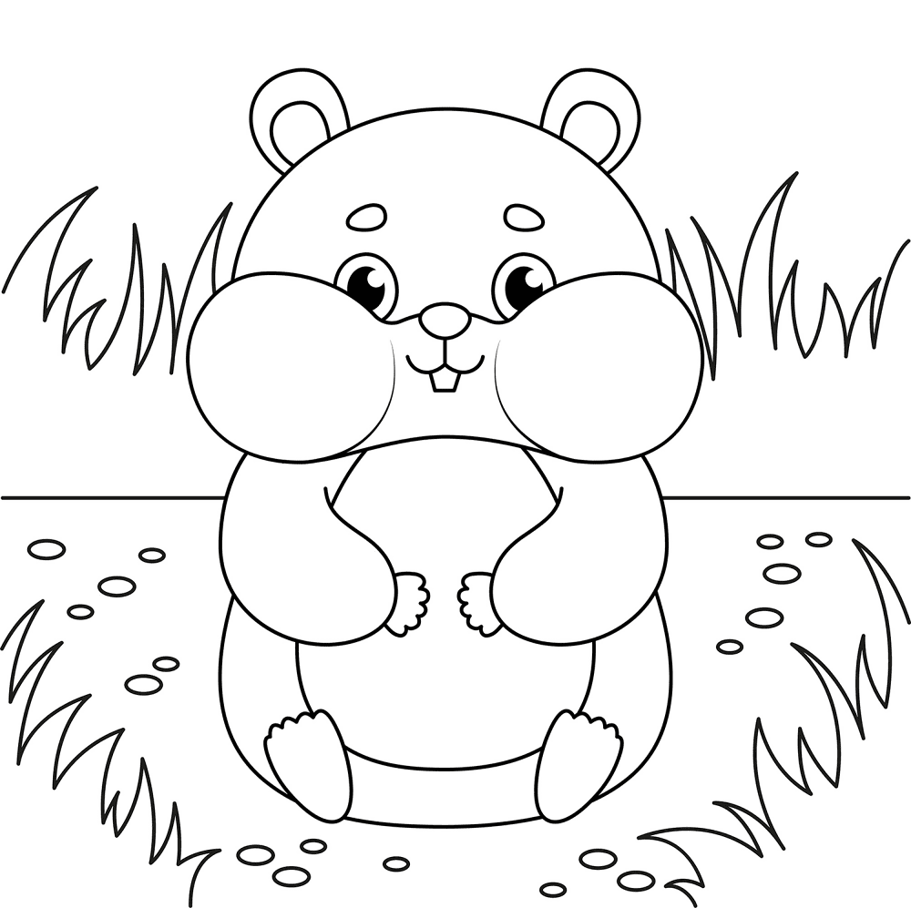 Desenho de Hamsters para colorir e imprimir: número 20