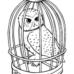 Desenho de Harry Potter para colorir e imprimir: número 15