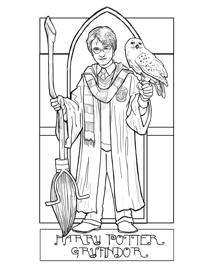 Desenho de Harry Potter para colorir e imprimir: número 22