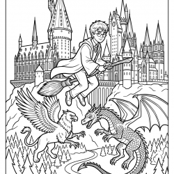 Desenho de Harry Potter para colorir e imprimir: número 23